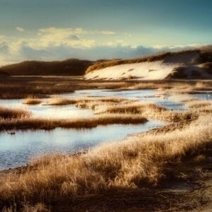 Setting White Balance in Infrared Photography