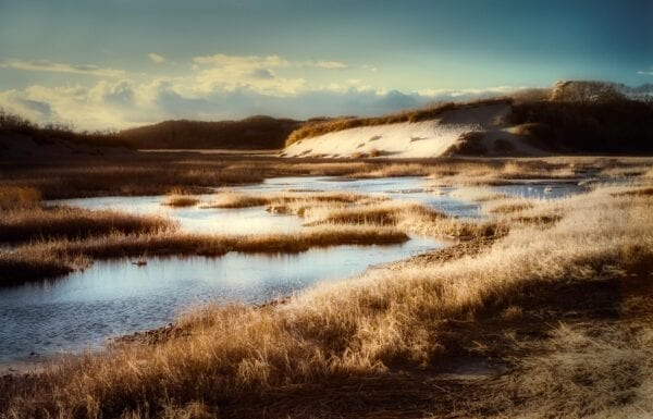 Setting White Balance in Infrared Photography