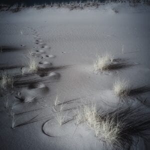 Zen Sand Garden in Dune