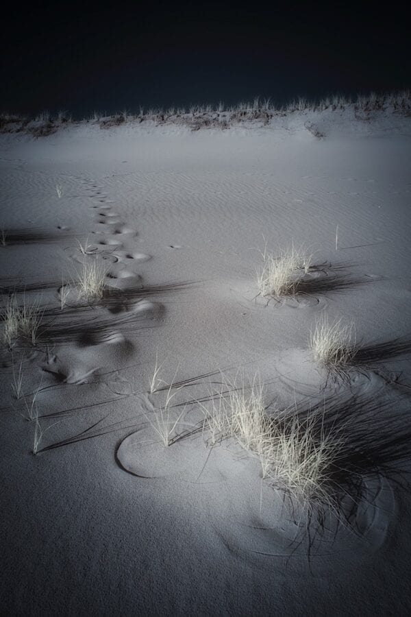 Introduction to Infrared Photography