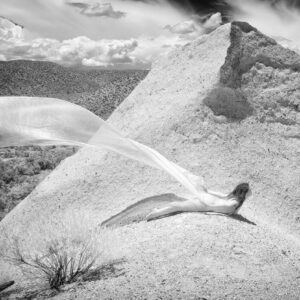 Video: Artistically Enhancing Infrared Photography